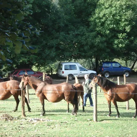 De Fayacaba Melendreros
